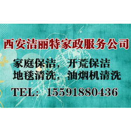 西安电视塔油烟机清洗,洁丽特家政