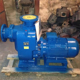 ZW150-200-20、自吸泵型号|石鑫水泵