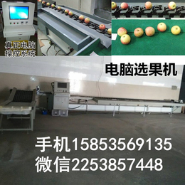 台湾****品牌电脑自动化选果机分选猕猴桃苹果柠檬大小等级