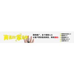 台州乐环(图),台州网站设计,网站设计