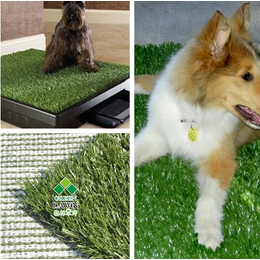 无锡格林工厂推荐-宠物垫人造草坪+草高2.5cm缩略图