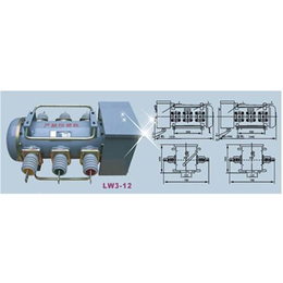 ****开关、持久电气、****开关LW8