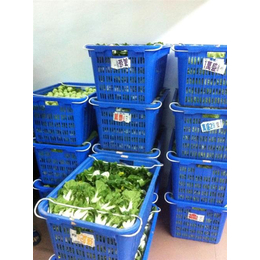 竹料农产品配送、天美和农产品(在线咨询)、绿色农产品配送