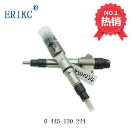 ERIKC博世潍柴发动机喷油器0445120224