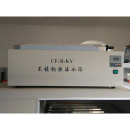 水泥胶砂试体养护箱 SHBY-40B型 品牌沧州鑫科