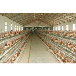 禽翔畜牧(多图),鸡笼生产厂,鸡笼