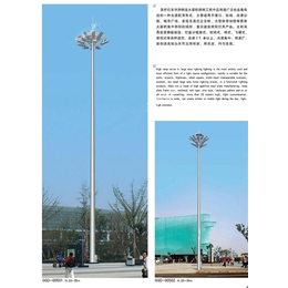 枣庄灯杆、希科环保、15m灯杆