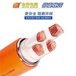 BTLY、NG-A、柔性矿物质电缆 防火(多图)