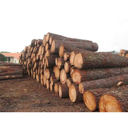 木材加工|杭州木材加工|旺鑫木业(多图)