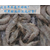 汉中大虾|大虾价格|优鲜港水产大虾批发缩略图1