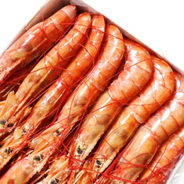 铜川大虾,优鲜港水产大虾批发(****商家),哪里有大虾批发供应