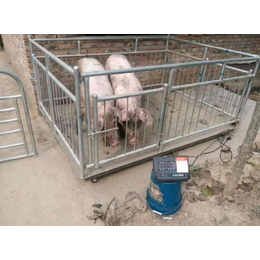 1吨0.5kg带围栏的猪笼秤动物体重秤 