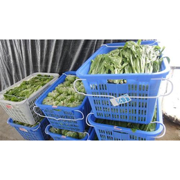 三江镇农产品配送|农产品配送服务|天美和农产品(多图)