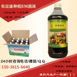 番茄黄瓜幼苗秧苗移栽定植****成秧率的益生菌什么价