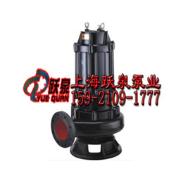 250WQ600-15-55污水潜水泵|跃泉泵业