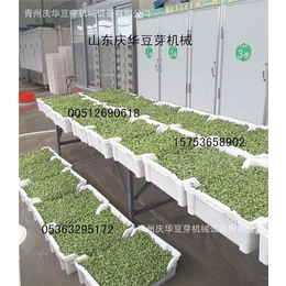 芽苗菜,青州庆华豆芽机蔬菜清洗机,*芽苗菜设备价格