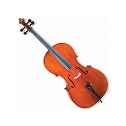大提琴培训、少儿大提琴培训、哆来咪乐器(多图)