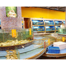 海鲜鱼缸,山西海鲜鱼缸设计,海之星水族公司