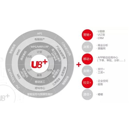 东城订单管理系统_连锁店订单管理系统_皖友软件新产品多