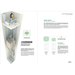 家用电梯、泓奥电梯(****商家)、家用电梯品牌