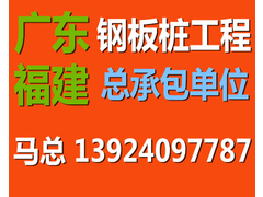 钢板桩挡土支撑施工公司-