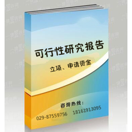 岚皋县城亮化工程可行性研究报告  经天可研7天立项