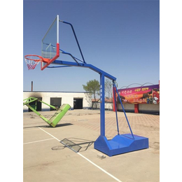 小*式篮球架|奥健体育用品厂|小*式篮球架生产商
