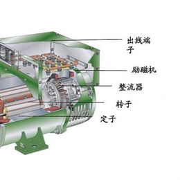郑州耀民(图)|柴油发电机专卖|郑州发电机