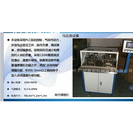 转子焊锡机制作、惠州转子焊锡机、广州赛彩