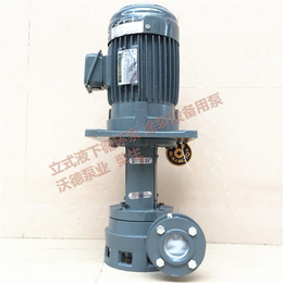 源立立式流程水循环泵YLX250-40涂装设备用泵