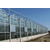 玻璃智能温室 V12-FH型Venlo式3屋脊温室大棚缩略图2