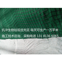 杭州*冲生物毯边坡防护 *冲生物毯 加筋防冲毯