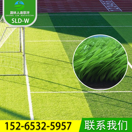 晟林 SLDWX-W 足球场运动草 厂家定制生产