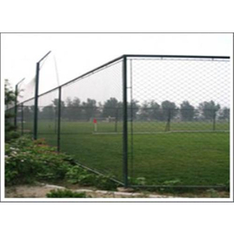 宁夏足球场护栏|足球场护栏参数|卓诺丝网(多图)