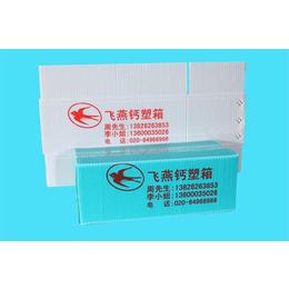 钙塑箱|飞燕塑胶制品|顺德钙塑箱