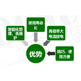 无锡ups不间断电源、善豹能源科技、ups不间断电源价格