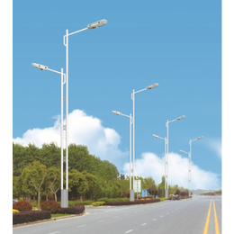 资阳LED路灯厂家报价市电路灯道路照明LED路灯参数图片