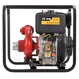 HS30PIE汉萨柴油高压水泵