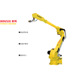 赛摩电气供应 WINSIX系列喷涂机器人