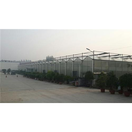 上海温室大棚、pc温室大棚造价、锦霖温室园艺(多图)缩略图