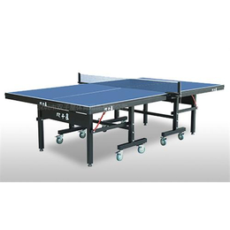 江苏乒乓球台,双子星体育用品(****商家),儿童乒乓球台