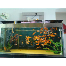 嘉兴生态鱼缸、嘉兴生态鱼缸定做、杭州水族工程有限公司(多图)