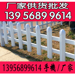 湖南PVC绿化围栏 衡阳市PVC草坪护栏 邵阳PVC塑料栅栏