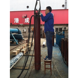 天津热泵厂家-大功率潜水热水泵-深井热泵选型