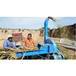 百祥生物肥生产线,阿瓦提秸秆粉碎机经久*,粉碎机