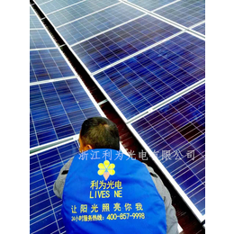 利为光电新能源太阳能发电系统260W多晶硅太阳能电池板组件