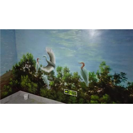 彩绘,3d墙*绘,南京新视角文化艺术有限公司(多图)