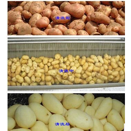 HC系列之华创生产的根薯类土豆毛辊清洗机