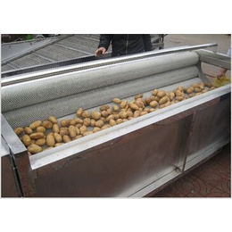 供应青岛大型不锈钢毛辊清洗机土豆磨皮机