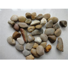 泉州鹅卵石|各种规格鹅卵石|鼎晟联合